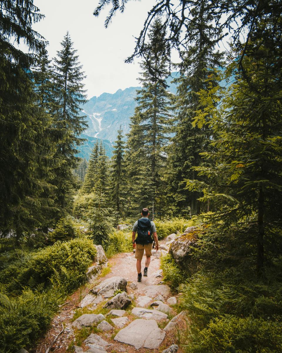 A man hiking a forest trail toward the mountains